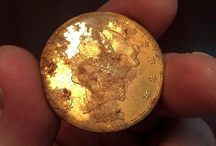 1890 Liberty Head gold coin, tarnished